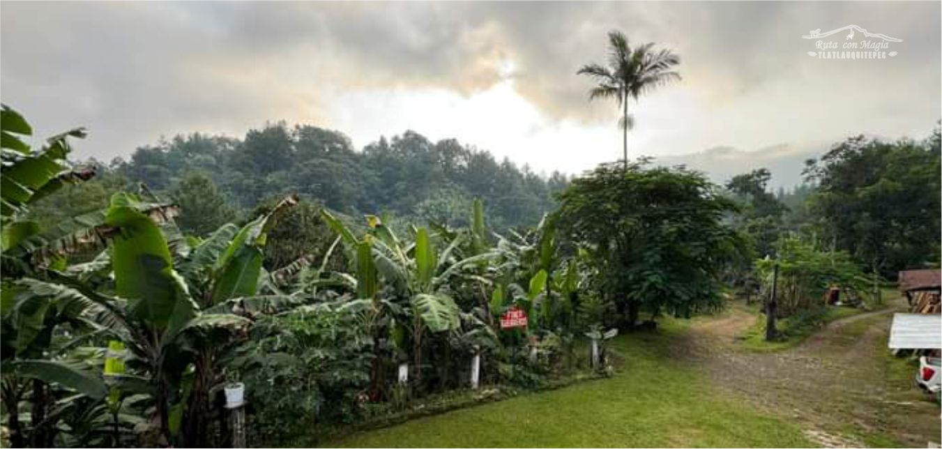 Finca_Guerrero.jpg